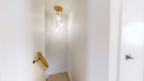 Copy of 16 Dragonfly 03132024 182106 scaled